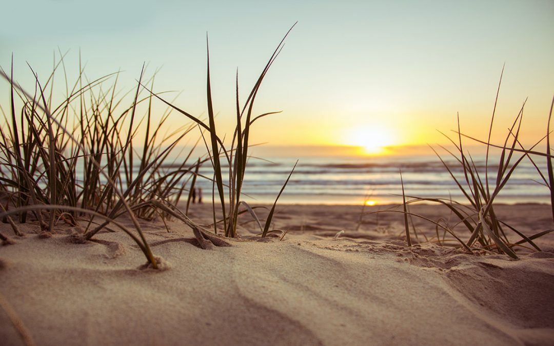 Balancing Lifestyle Factors